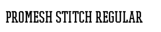 PROMESH Stitch
