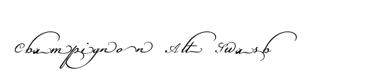 CalligraphScript-Swash