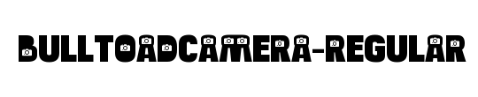 Bulltoad Camera