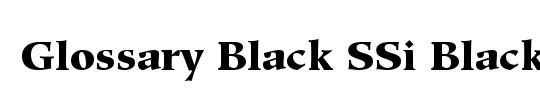 Glossary Black SSi