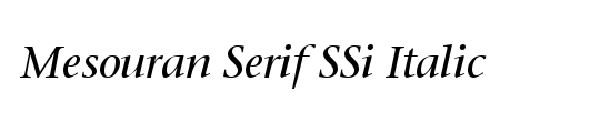 Mesouran Serif Black SSi