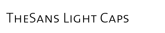 The Sans Light-