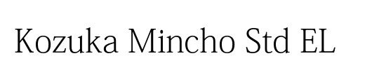MS Mincho