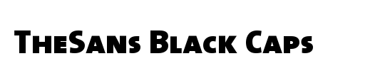 The Sans Black-