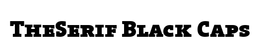 The Serif Black-