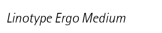 LTErgo