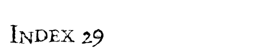 Index 29