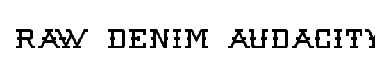 Raw Denim Audacity