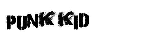 Punk Kid