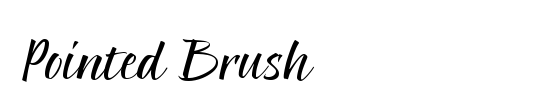 Pointed Brush
