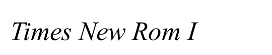 Times New Rom I