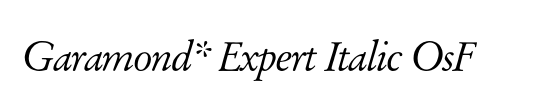 Garamond Stempel Expert BQ