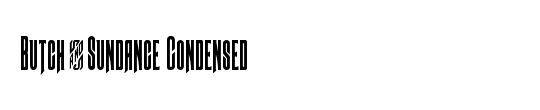 Butch & Sundance Condensed
