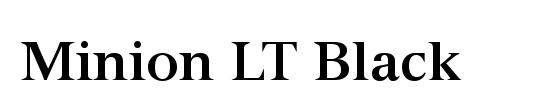 Minion LT Black