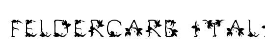 Feldercarb Italic
