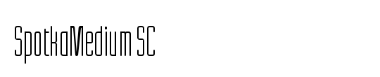 SpotkaMedium SC