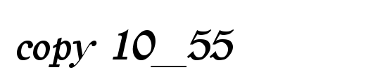 copy 10_55