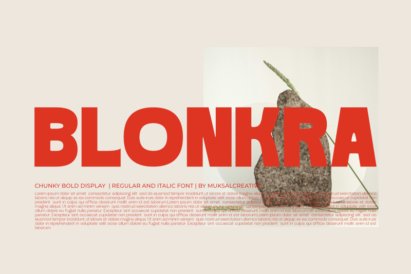 Blonkra illustration