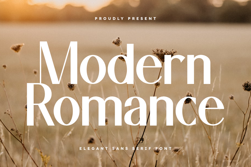 Modern Romance illustration
